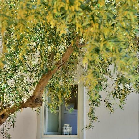 Apartamento Douskos Beach House Hidra Exterior foto